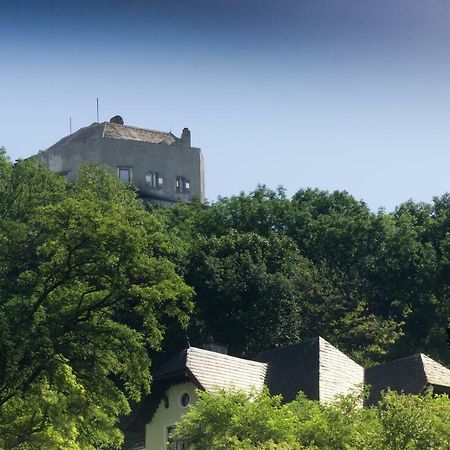 Villa Neuwirth Greifenstein Eksteriør billede